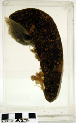 GC.7436-3
<br/>
<br/>
<em></em>