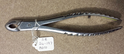 @ETO
<br/>
Nibbling bone forceps
<br/>
<em>Bone</em>
